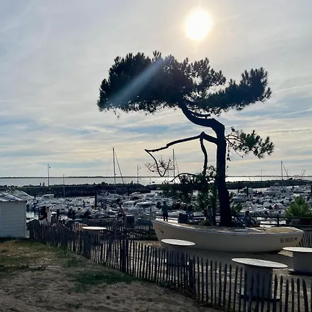Comfortable - Le Hameau Des Talaris La Palmyre Semesterbostad